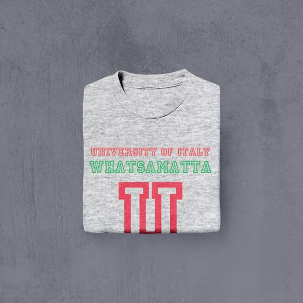 University of italy whatsamatta adult grey long sleeve t-shirt folded