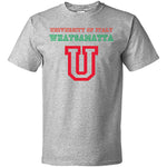University of Italy Whatsamatta Gray T-Shirt