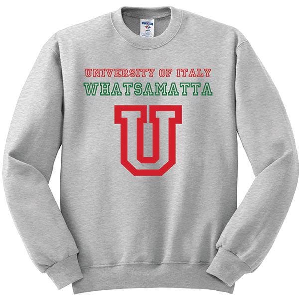 University of Italy Whatsamatta Gray Sweatshirt
