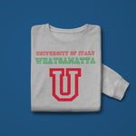 University of italy whatsamatta adult grey sweatshirt folded