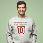 University of italy whatsamatta adult grey sweatshirt on a man