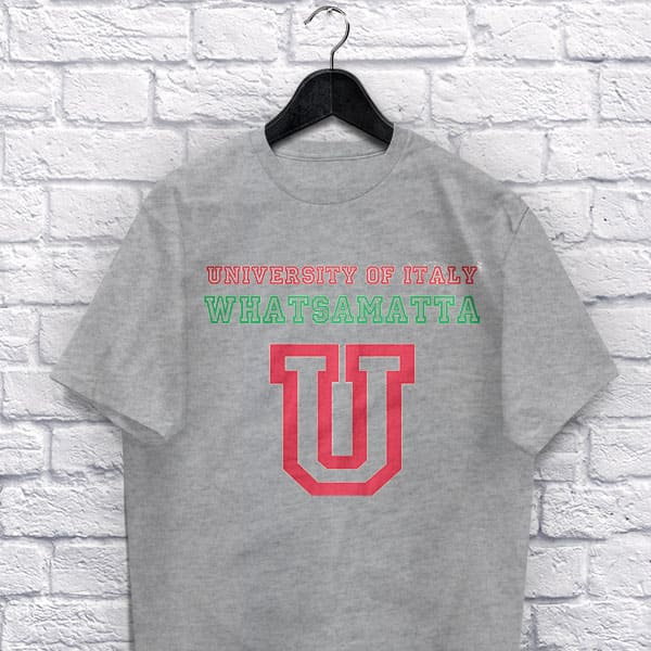 University of Italy adult grey t-shirt on a hanger