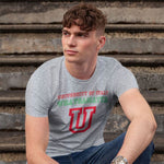 University of Italy adult grey t-shirt on a man front view